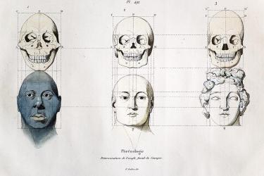 Adriaan Gilles. Determination de l’angle facial de Camper/Camper’s Facial Angles; copperplate engraving with original hand coloring from Guerin's Picturesque Dictionary of Natural History; c. 1830