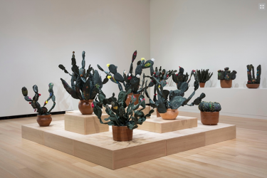 John Bentham. Exhibition installation view of “Margarita Cabrera: Space in Between,” 2018. Courtesy of the Wellin Museum of Art Hamilton College.